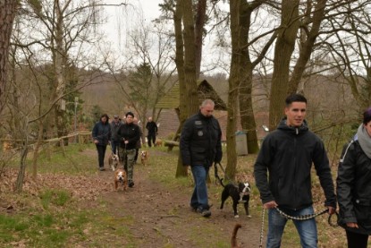 Continental Bulldogs Seeblickbulls Bilderalbum - Conti-Treff April 2016