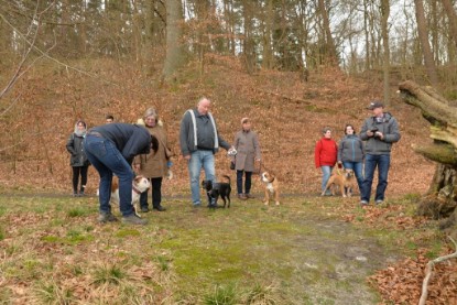 Continental Bulldogs Seeblickbulls Bilderalbum - Conti-Treff April 2016