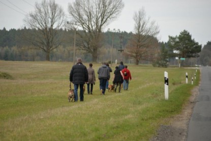 Continental Bulldogs Seeblickbulls Bilderalbum - Conti-Treff April 2016