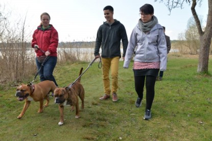 Continental Bulldogs Seeblickbulls Bilderalbum - Conti-Treff April 2016