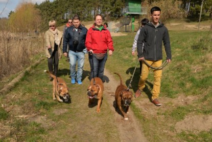 Continental Bulldogs Seeblickbulls Bilderalbum - Conti-Treff April 2016