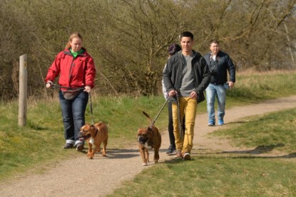 Continental Bulldogs Seeblickbulls Bilderalbum - Conti-Treff April 2016