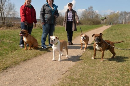 Continental Bulldogs Seeblickbulls Bilderalbum - Conti-Treff April 2016