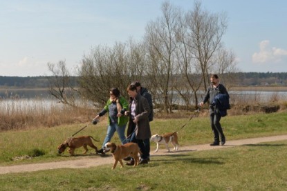 Continental Bulldogs Seeblickbulls Bilderalbum - Conti-Treff April 2016