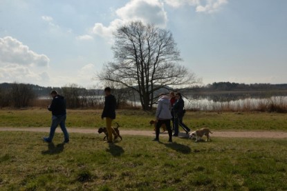 Continental Bulldogs Seeblickbulls Bilderalbum - Conti-Treff April 2016