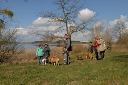 Continental Bulldogs Seeblickbulls Bilderalbum - Conti-Treff April 2016