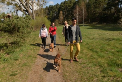 Continental Bulldogs Seeblickbulls Bilderalbum - Conti-Treff April 2016