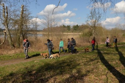 Continental Bulldogs Seeblickbulls Bilderalbum - Conti-Treff April 2016