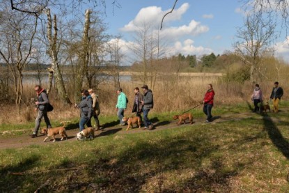 Continental Bulldogs Seeblickbulls Bilderalbum - Conti-Treff April 2016