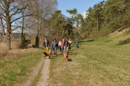 Continental Bulldogs Seeblickbulls Bilderalbum - Conti-Treff April 2016