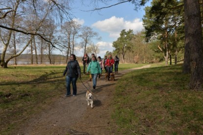 Continental Bulldogs Seeblickbulls Bilderalbum - Conti-Treff April 2016