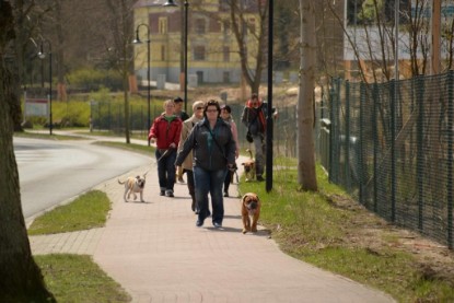 Continental Bulldogs Seeblickbulls Bilderalbum - Conti-Treff April 2016