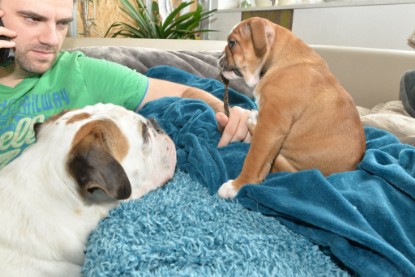 Continental Bulldogs Seeblickbulls Bilderalbum - Indoor-Abenteuer im März 2017