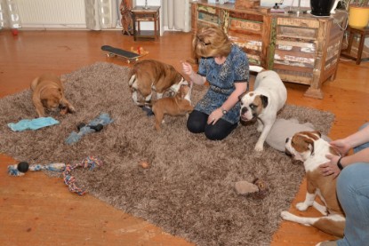 Continental Bulldogs Seeblickbulls Bilderalbum - Indoor-Abenteuer im März 2017