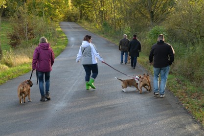 Seeblickbulls Conti-Treff auf dem VierbeinerLandgut