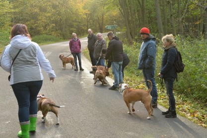 Seeblickbulls Conti-Treff auf dem VierbeinerLandgut