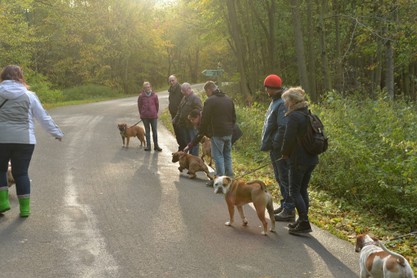 Seeblickbulls Conti-Treff auf dem VierbeinerLandgut