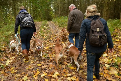 Seeblickbulls Conti-Treff auf dem VierbeinerLandgut