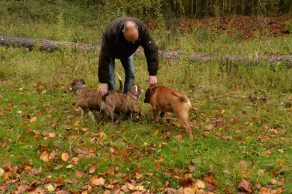 Continental Bulldogs Seeblickbulls Bilderalbum - Conti-Treff Oktober 2017