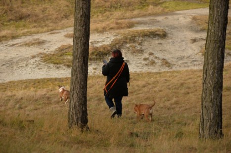 Continental Bulldogs Seeblickbulls Bilderalbum - am Kyffhäuser