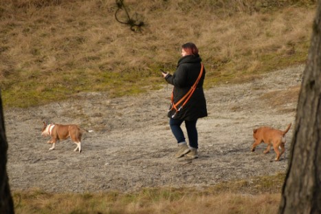 Continental Bulldogs Seeblickbulls Bilderalbum - am Kyffhäuser