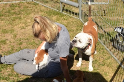 Seeblickbulls ICKE PHOEBE zu Besuch am 6. Juli 2018