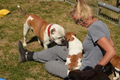 Seeblickbulls ICKE PHOEBE zu Besuch am 6. Juli 2018