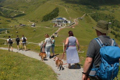 mit Seeblickbulls JOSEFINE, LIESBETH und MORTIMER eine Woche Tirol in Österreich