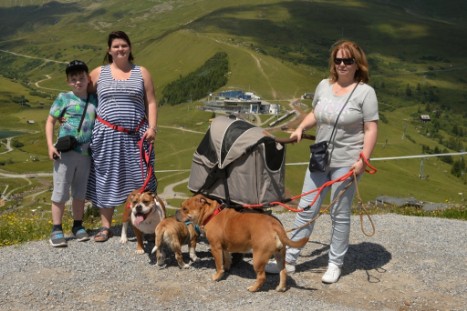 mit Seeblickbulls JOSEFINE, LIESBETH und MORTIMER eine Woche Tirol in Österreich