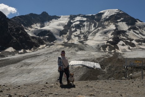 mit Seeblickbulls JOSEFINE, LIESBETH und MORTIMER eine Woche Tirol in Österreich