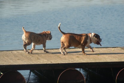 auf zum See am 23.09. und am 11.10.