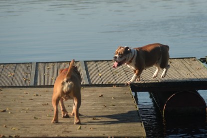 auf zum See am 23.09. und am 11.10.