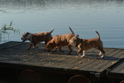 auf zum See am 23.09. und am 11.10.