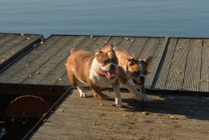 auf zum See am 23.09. und am 11.10.