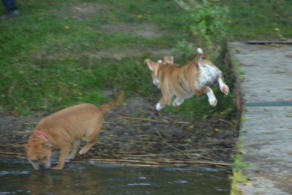 auf zum See am 23.09. und am 11.10.