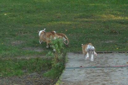 auf zum See am 23.09. und am 11.10.