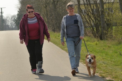 Continental Bulldogs Seeblickbulls Bilderalbum - Conti-Treff April 2019