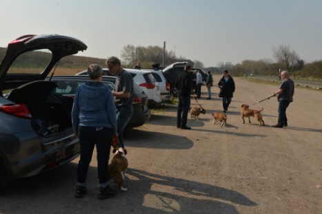 Continental Bulldogs Seeblickbulls Bilderalbum - Conti-Treff April 2019