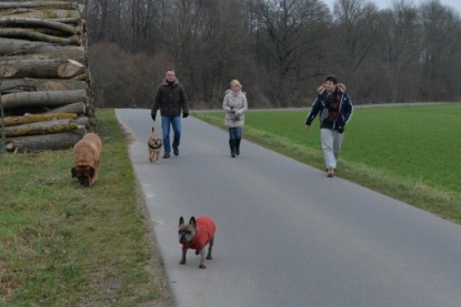 Continental Bulldogs Seeblickbulls Bilderalbum - Januar, Februar 2015