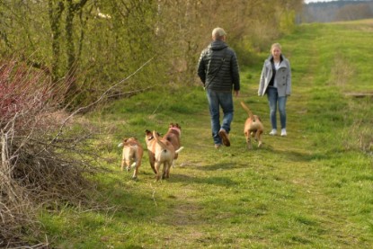 Continental Bulldogs Seeblickbulls Bilderalbum - Treffen der I-Babys