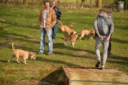 Continental Bulldogs Seeblickbulls Bilderalbum - Treffen der I-Babys